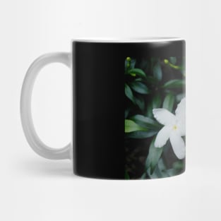 Crepe Jasmine (Pinwheel Flower) Plant Mug